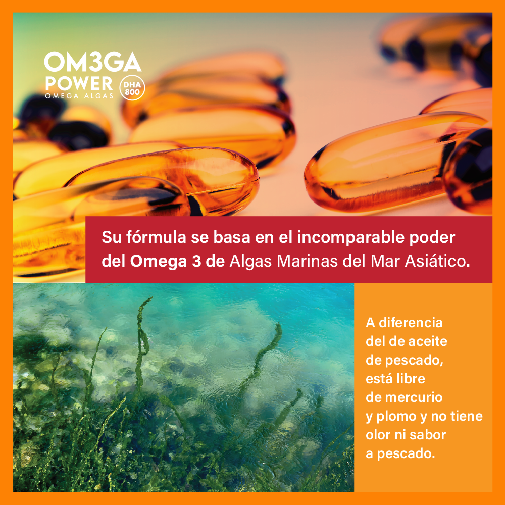 OMEGA POWER - Omega 3 de algas DHA 800